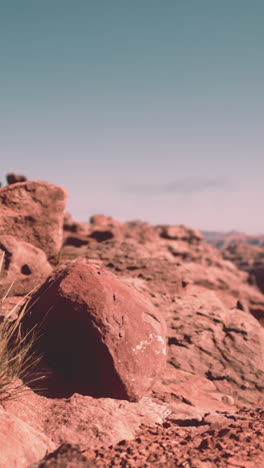 red rock desert landscape