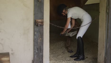 Caucasian-woman-taking-care-of-her-Dressage-horse