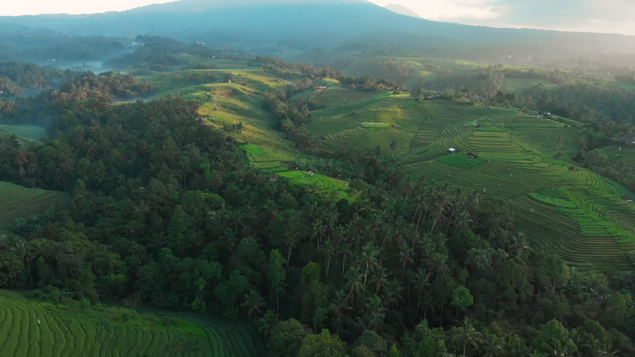 Flying over rice terraces at sunrise