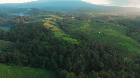 flying over rice terraces at sunrise