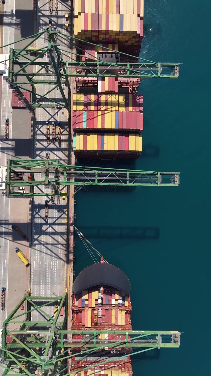 Container terminal shows equipment loading and unloading shipping containers from cargo ships. This activity occurs at a busy freight terminal during daylight hours.