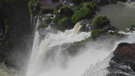 amazing clear water pouring off, falling deep into argentinian rainforest, lots of nature covered in rough beautiful waterfall current running down steep rocky cliff in iguacu falls, south america