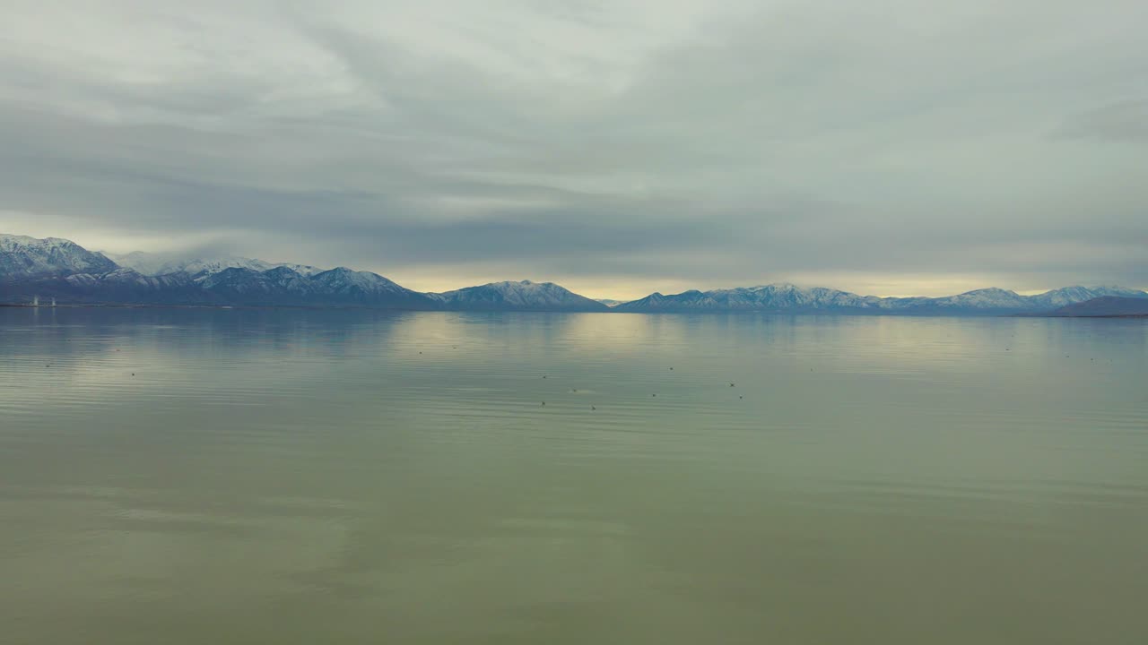물 위의 갈매기와 저 멀리 눈 덮인 산이 있는 끝없이 커 보이는 호수 위를 날다