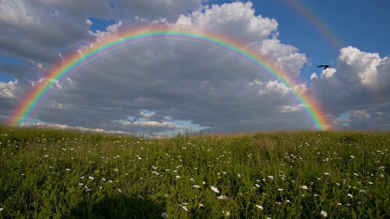 Vídeo grande angular capturando um arco-íris vibrante sobre um campo exuberante com flores silvestres, conjunto