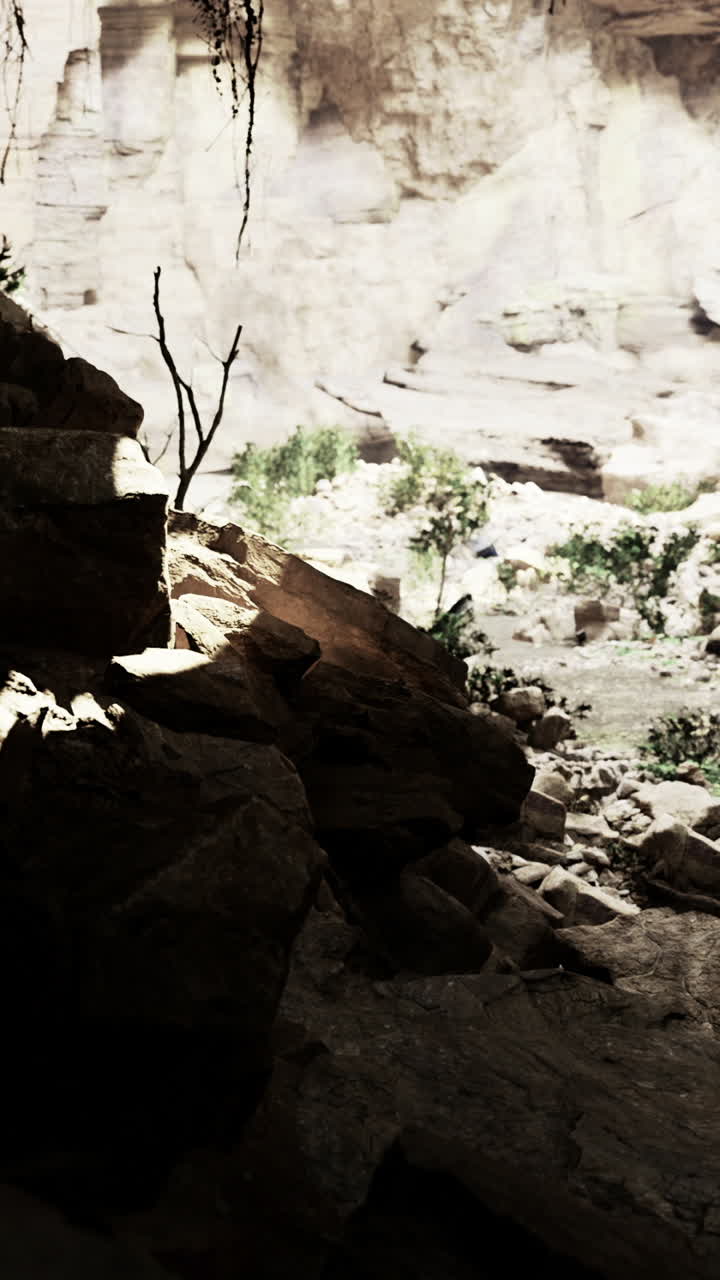 Mysterious canyon reveals sunlight illuminating rocky landscape and flora