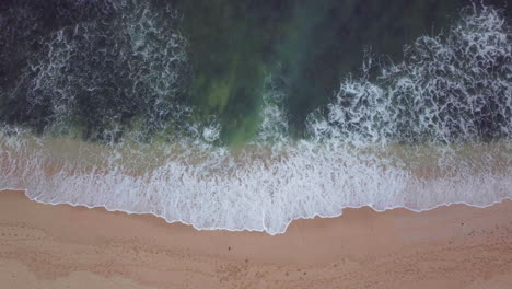 Jbay-Reef-Südafrika-Drohnenantenne-Jeffreys-Bay-Atemberaubender-Sonnenaufgang-Am-Frühen-Morgen-Goldener-Ozean-Surferwelle-Grundwellen-Atemberaubende-Küstenlinie-Leerer-Strand-Afrika-Delfine-In-Der-Nähe,-Die-Nach-Unten-Blicken,-Bewegung