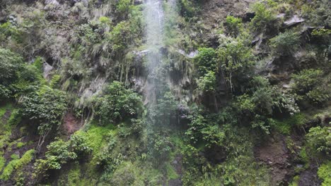 crystal clear water gracefully flowing down a rocky cliff face, surrounded by vibrant greenery in the tropical rainforest of boquete, panama