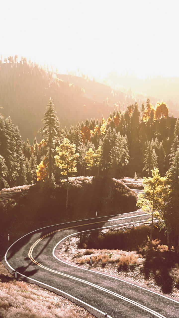 panorámico camino sinuoso a través del bosque de otoño