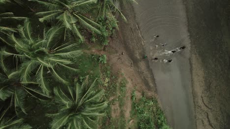 aerial view soldiers running through asian jungle river