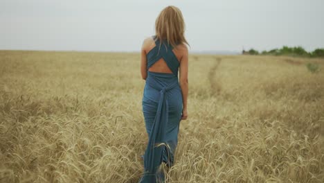 Back-view-of-young-woman-with-blonde-hair-in-long-blue-dress-walking-through-golden-wheat-field-then-turning-around-and-looking