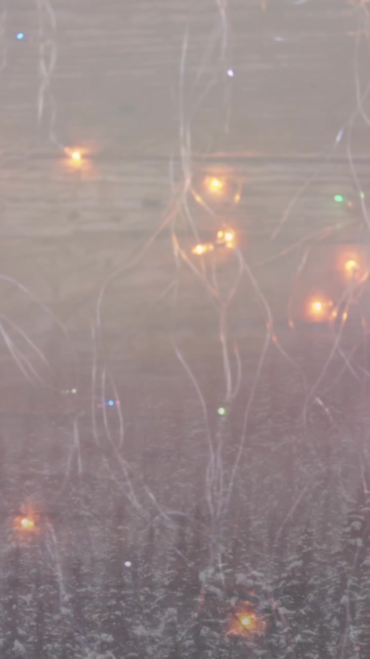 Animation of glowing christmas fairy lights over winter scenery