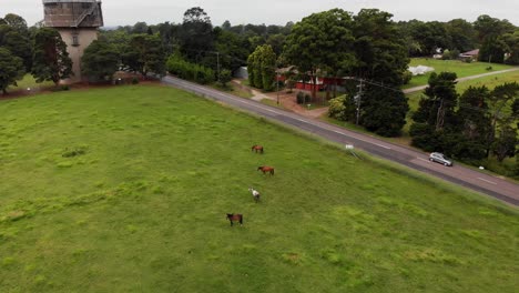 Aerial-chase-shot-of-horses-on-farmland