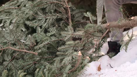 Teil-Des-Mannes,-Der-Den-Weihnachtsbaum-Schneidet