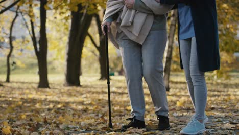 low section of female nurse helping senior woman walking in park