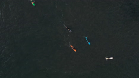 La-Cámara-Del-Dron-Se-Desplaza-Mientras-Los-Surfistas-Esperan-Que-Llegue-La-Ola-Perfecta:-El-Agua-Verde-Oscuro-Del-Océano-Atlántico-Los-Rodea