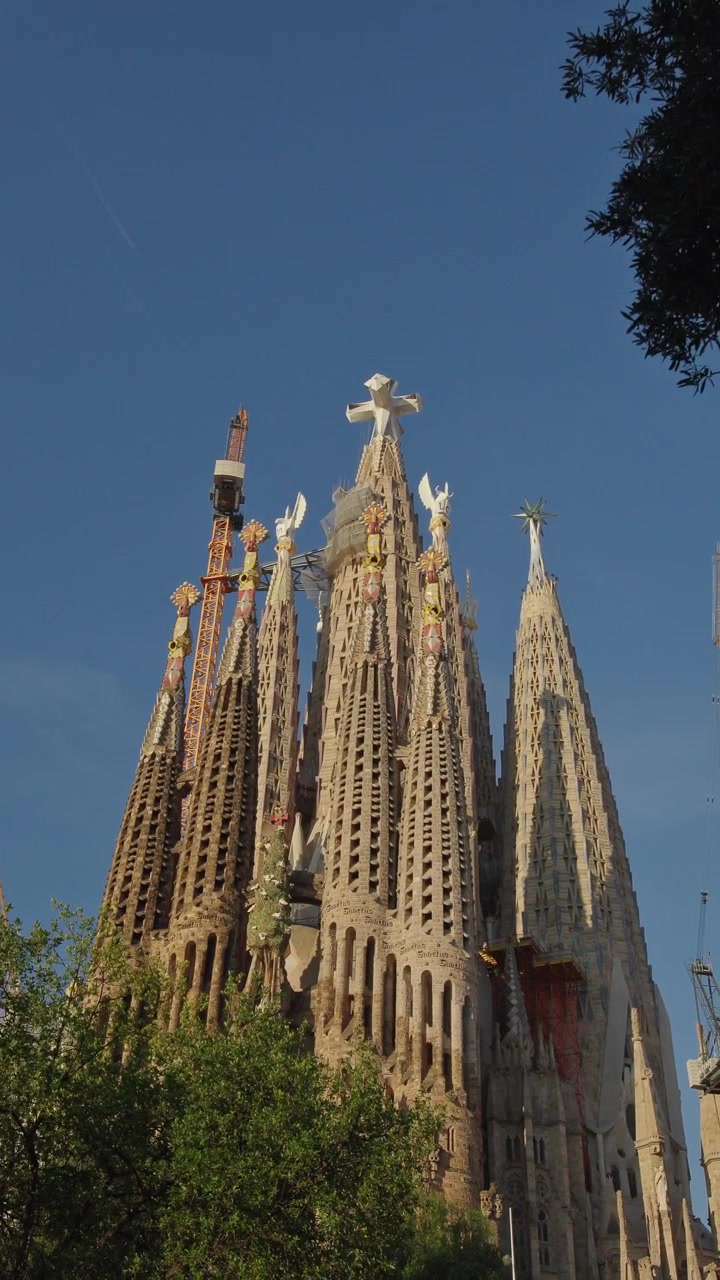 Basilica della Sagrada Familia che emerge tra i rami degli alberi a Barcellona, Spagna, filmato di viaggio cinematografico verticale