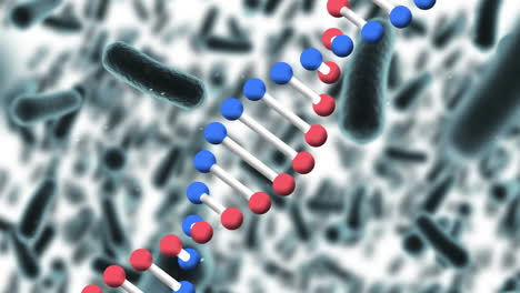 animación de la cadena de adn que gira sobre las células sanguíneas, en blanco