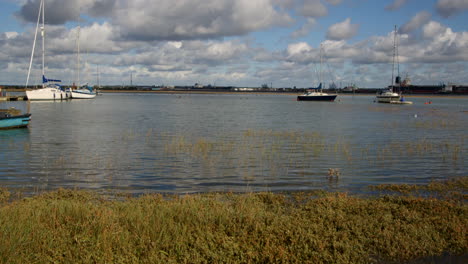hierba baja inundada con la marea alta tomada en el club de vela de ashlett creek en el solent, southampton