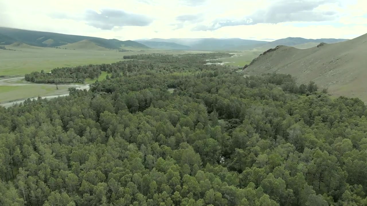 Vista aerea di un fiume tortuoso attraverso una foresta verde lussureggiante