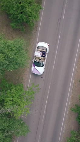 wonderful upper view just married couple sits in white convertible on gray road with trees on wedding day
