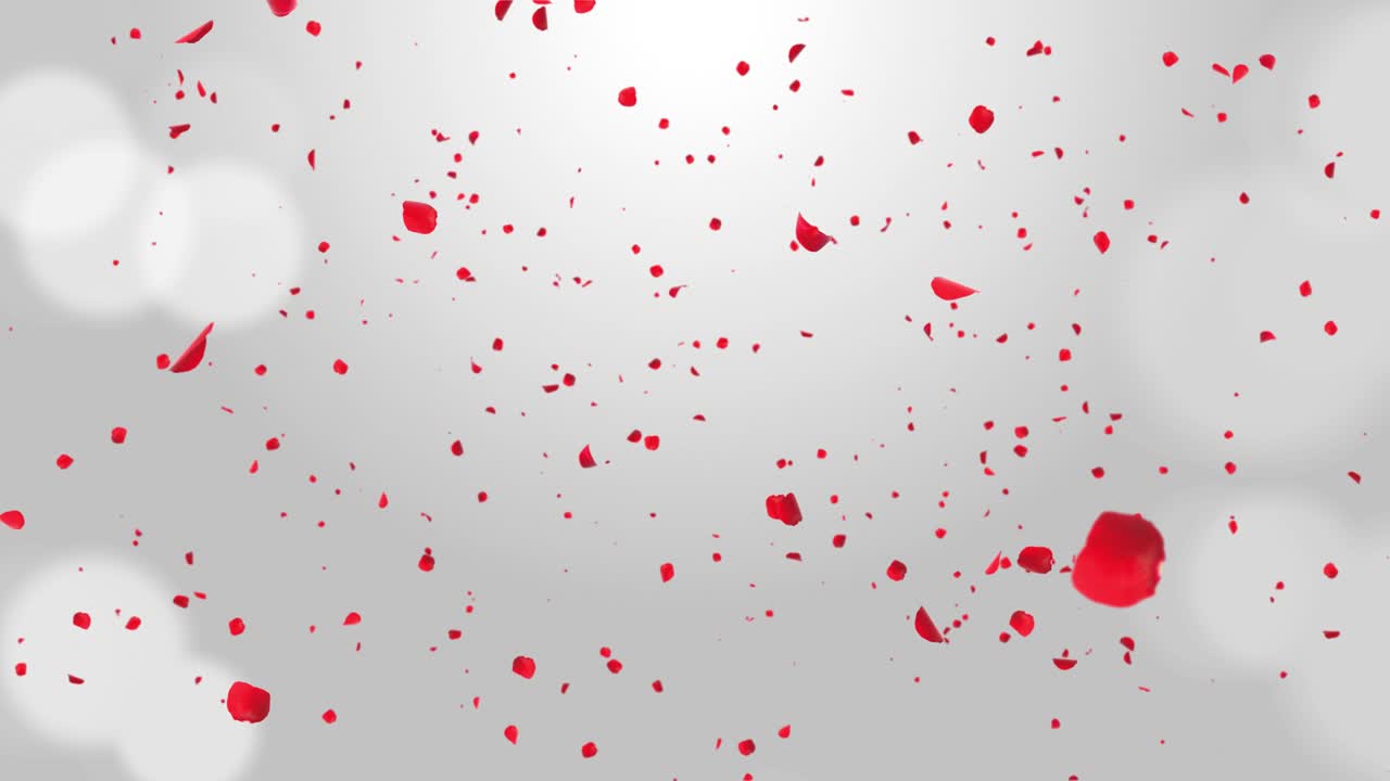 고급스러운 신선한 장미 잎자루가 하 로맨틱 루프 배경 녹색 화면에 공중에 떨어집니다.