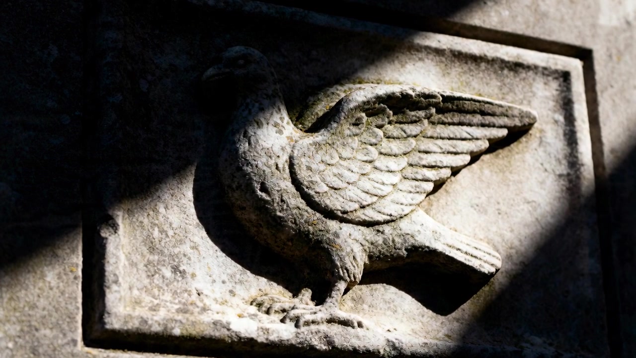 Nuvola di passaggio che proietta un'ombra che scivola su un bassorilievo di uccello in pietra intagliata su una parete esterna, rivelandone la trama.