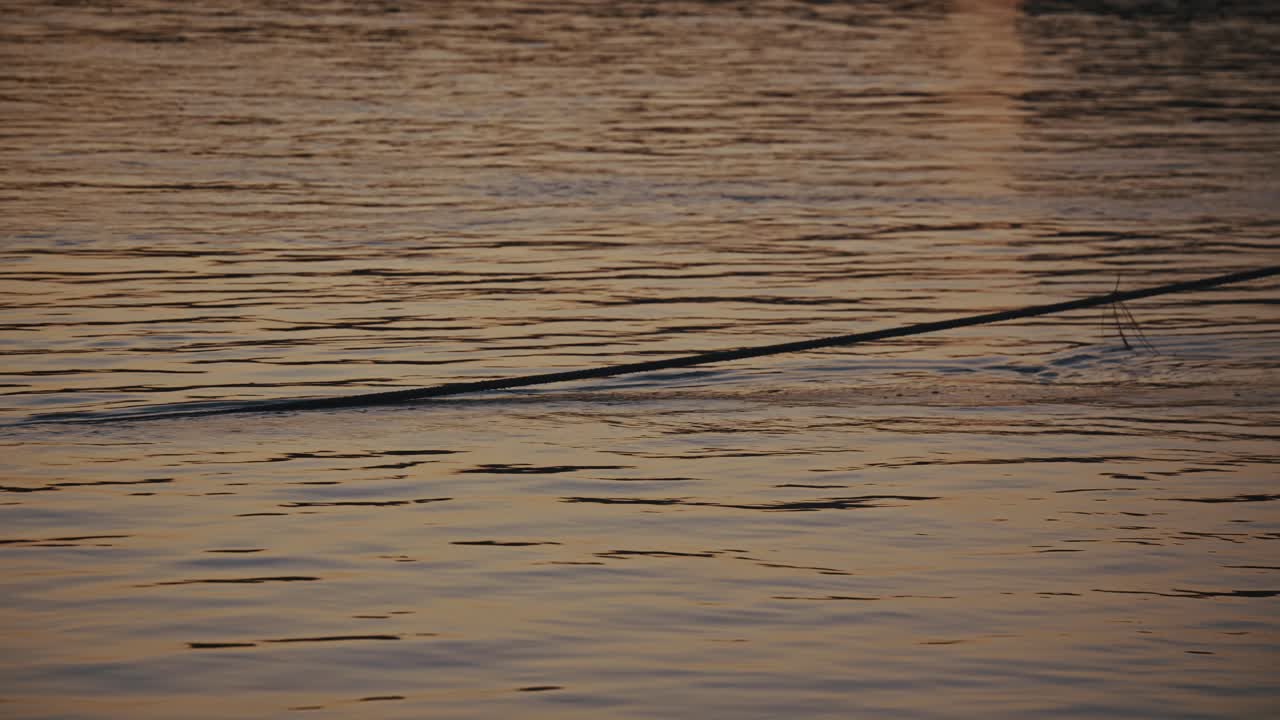 Ship's rope floating on the calm Danube at dusk during the Budapest flood, 2024