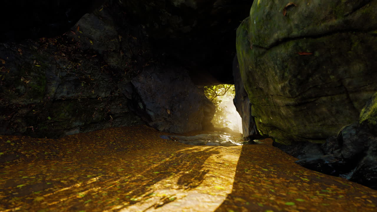 rayos de sol que fluyen a través de la entrada de una cueva en un bosque