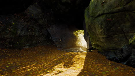 sunbeams streaming through a cave entrance in a forest