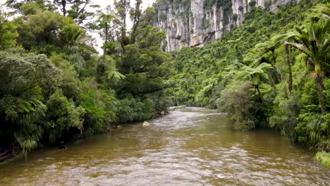 Beautiful-wildness-nature-scene-of-New-Zealand-native-rainforest,-Pororari-River-in-the-jungle---aerial