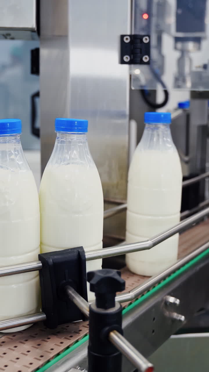 Milk bottles on conveyor belt. Hand is taking empty bottle from conveyor belt. Ready beverage production line at dairy factory. Close-up. Vertical video