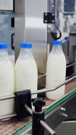 milk bottles on conveyor belt. hand is taking empty bottle from conveyor belt. ready beverage production line at dairy factory. close-up. vertical video