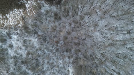 A-top-down-view-of-trees-and-fields-during-winter-with-a-light-dusting-of-snow