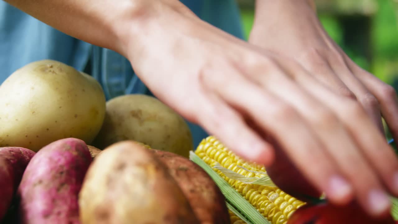mujer organizando verduras frescas en la canasta en la granja