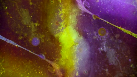 curlicue of paints