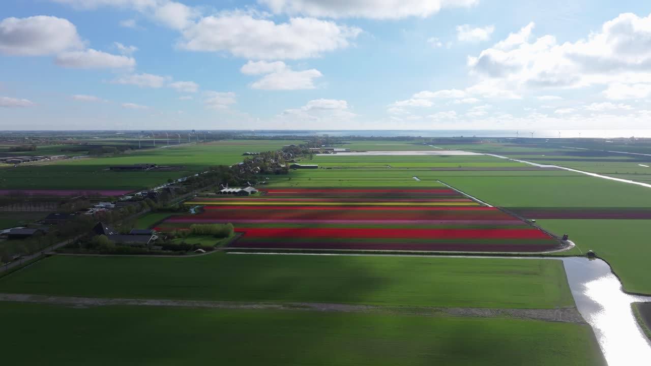 Luftfoto af blomstrende tulipanmarker i den landlige landsby Avenhorn, Holland