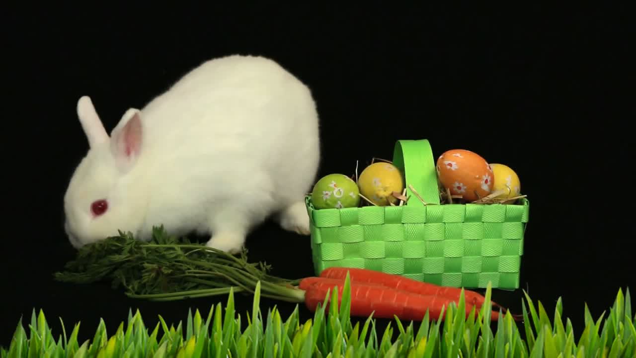 animación de un lindo conejo de pascua blanco con una canasta verde con huevos de pascua con patrones