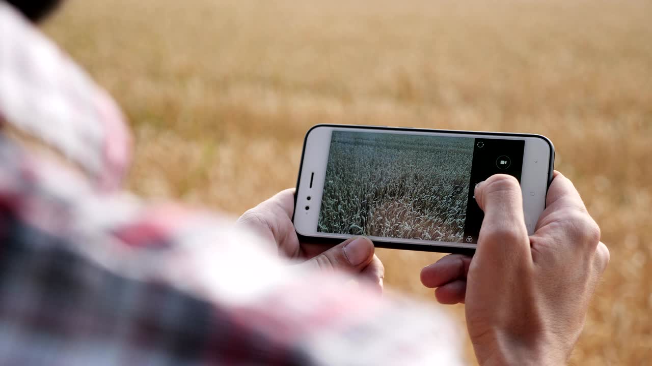 Agricultor fotografando o rendimento da colheita de trigo