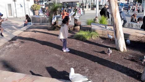 un niño interactúa alegremente con las palomas al aire libre