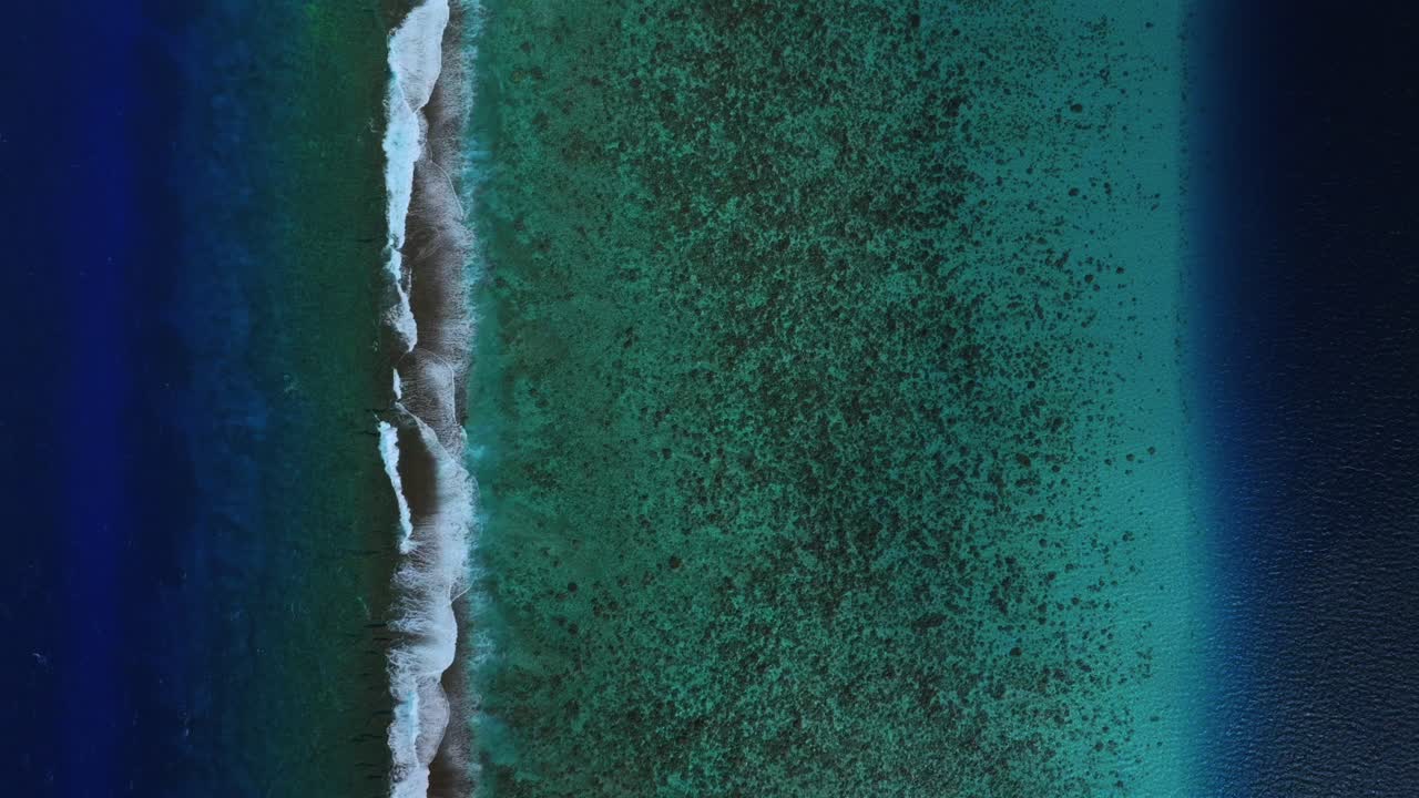 Barriera corallina, passaggio del canale della laguna turchese, Oceano Pacifico meridionale, Mo'orea, Bora Bora, Baia di Opunohu, spiaggia pubblica, Polinesia Francese, vista aerea con drone a volo d'uccello, mattina soleggiata, onde che si infrangono, inquadratura statica