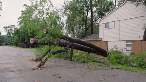 Trees-and-debris-partially-block-road-in-neighborhood-after-Hurricane-Beryl-strikes-Houston,-Texas