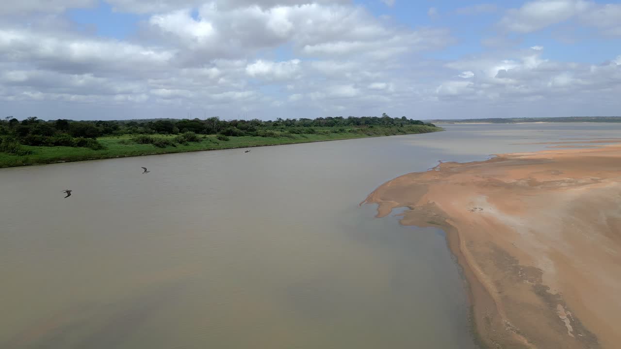 Wide Drone view of birds flying around above the Orinoco River in the Amazon Rainforest.
