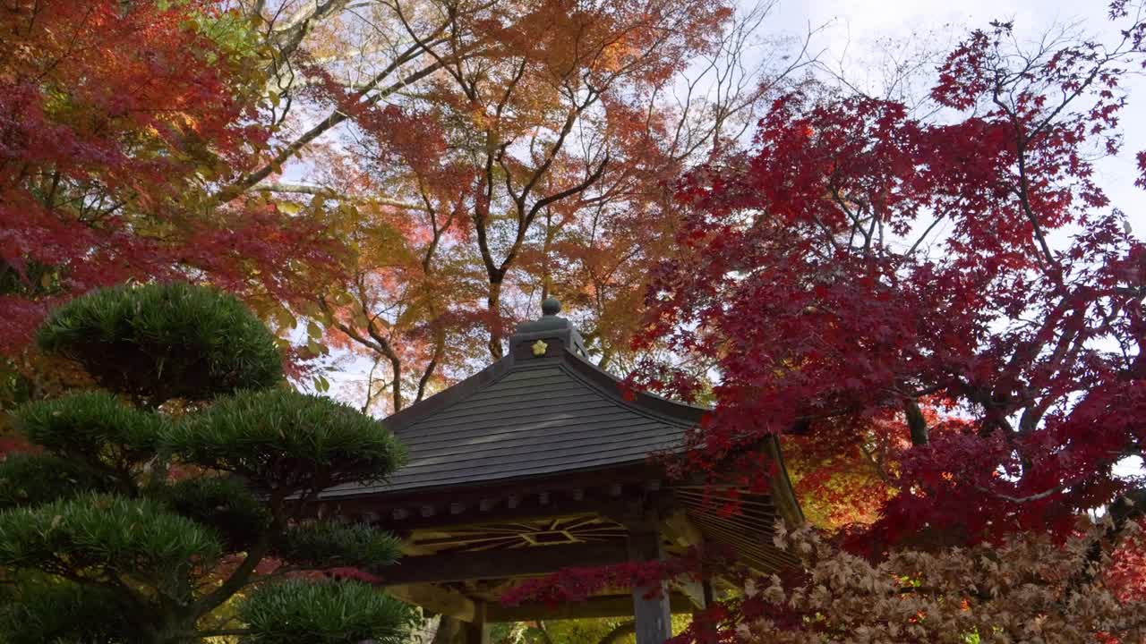 Beautiful Japanese architecture building during fall colors