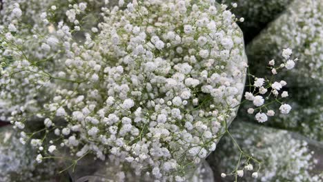 a bouquet made of fresh baby breath in bangalore market