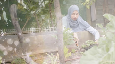 animation of leaves over biracial woman in hijab gardening