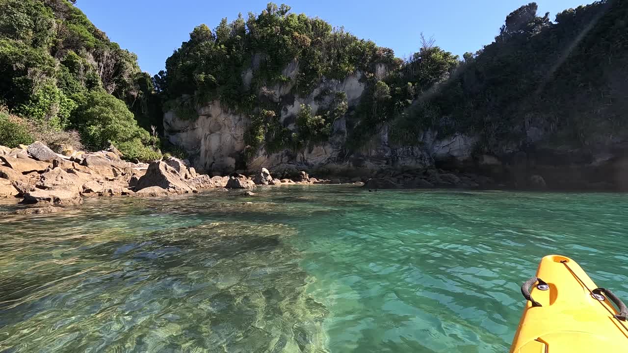 Un kayak galleggia vicino a delle foche giocose nell'Abel Tasman National Park, Nuova Zelanda. Acque cristalline, isole vicine e una luminosa giornata estiva completano la vista panoramica.