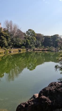 un tranquilo paseo por un pintoresco parque