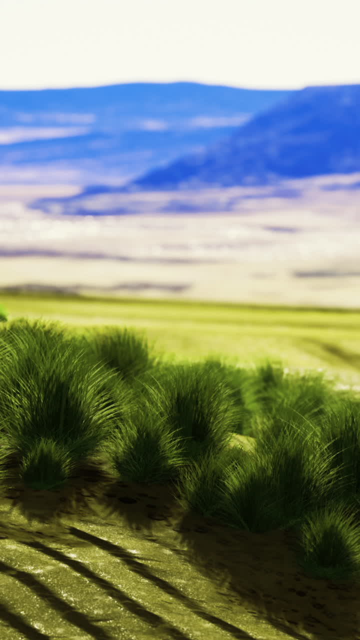 Rolling hills and lush grasslands under a vast blue sky at midday