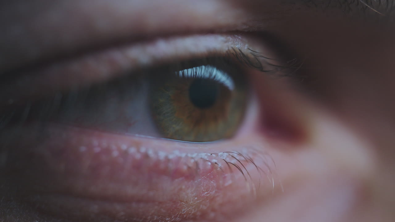 primer plano de un ojo marrón