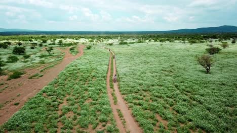 travelers riding motorcycles in a national park in kenya - aerial drone shot